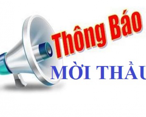 Đề nghị tư vấn thẩm định hồ sơ mời thầu và thẩm định kết quả lựa chọn nhà thầu gói thầu “Khám sức khỏe định kỳ năm 2024”