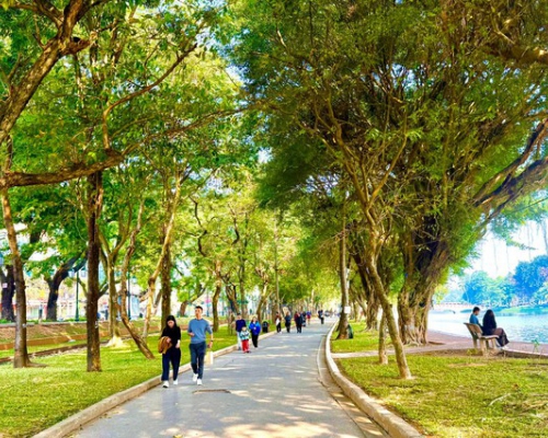 Cần một chuẩn chung để công viên, cây xanh thực sự là không gian dành cho người dân